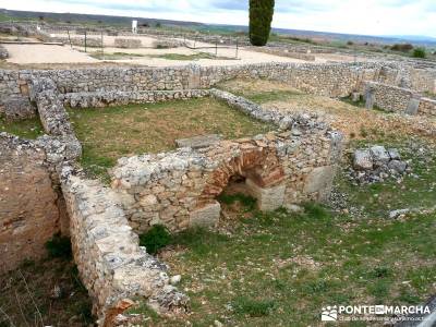 Yacimiento Clunia Sulpicia - Desfiladero de Yecla - Monasterio Santo Domingo de Silos - excursiones 